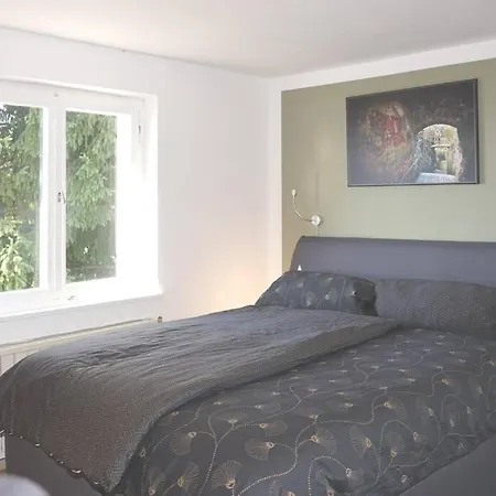 Haus Bregenz Festspiele Апартаменты *