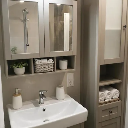 公寓 Haus Bregenz Festspiele *